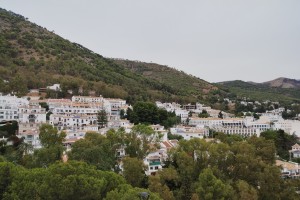 Czytaj więcej: img 20240907 094014857 90a67
